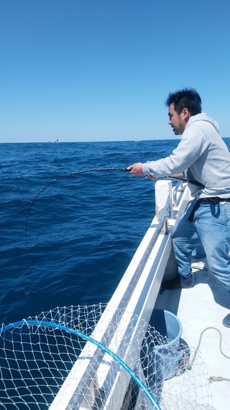 LUSTER『ラスター』 釣果