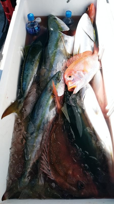 LUSTER『ラスター』 釣果