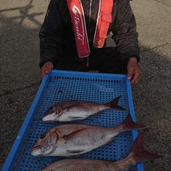 第三共栄丸 釣果