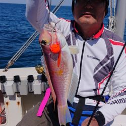 ARCADIAⅡ (アルカディアⅡ) 釣果