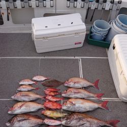 ARCADIAⅡ (アルカディアⅡ) 釣果