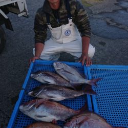 第三共栄丸 釣果