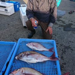 第三共栄丸 釣果