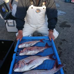 第三共栄丸 釣果