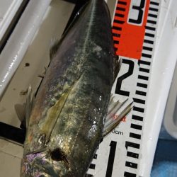 シースナイパー海龍 釣果