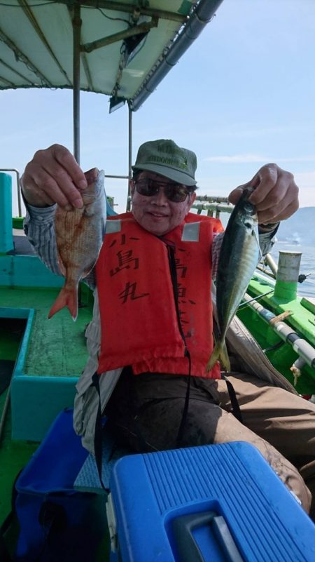 小島丸 釣果