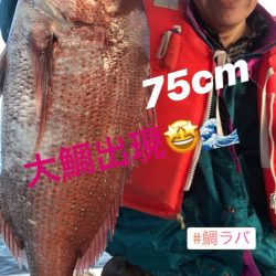 龍神丸(鹿児島) 釣果