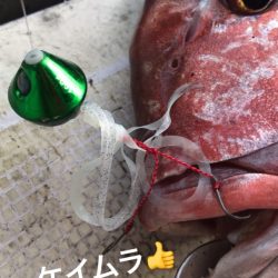 龍神丸(鹿児島) 釣果