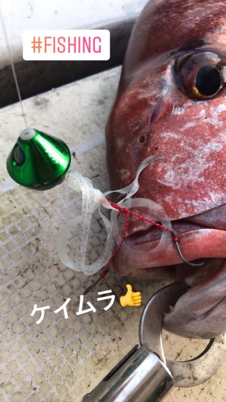 龍神丸(鹿児島) 釣果