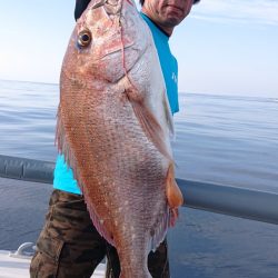 ARCADIAⅡ （アルカディアⅡ） 釣果