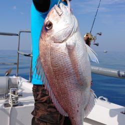 ARCADIAⅡ （アルカディアⅡ） 釣果