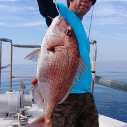 ARCADIAⅡ （アルカディアⅡ） 釣果