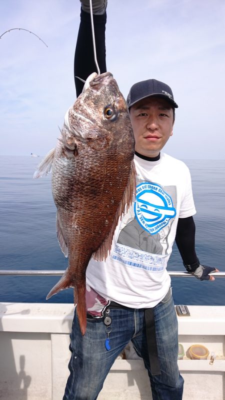 ARCADIAⅡ （アルカディアⅡ） 釣果