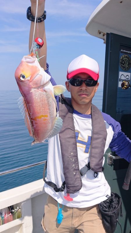 ARCADIAⅡ （アルカディアⅡ） 釣果