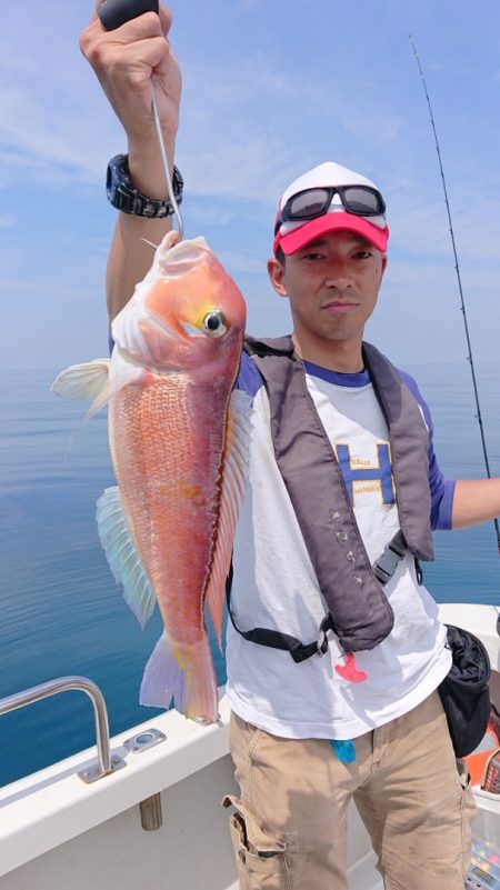 ARCADIAⅡ （アルカディアⅡ） 釣果