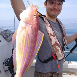 ARCADIAⅡ （アルカディアⅡ） 釣果