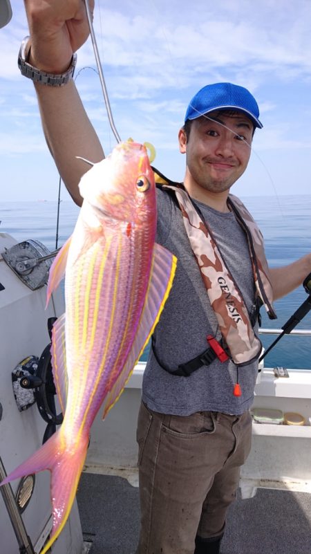 ARCADIAⅡ （アルカディアⅡ） 釣果