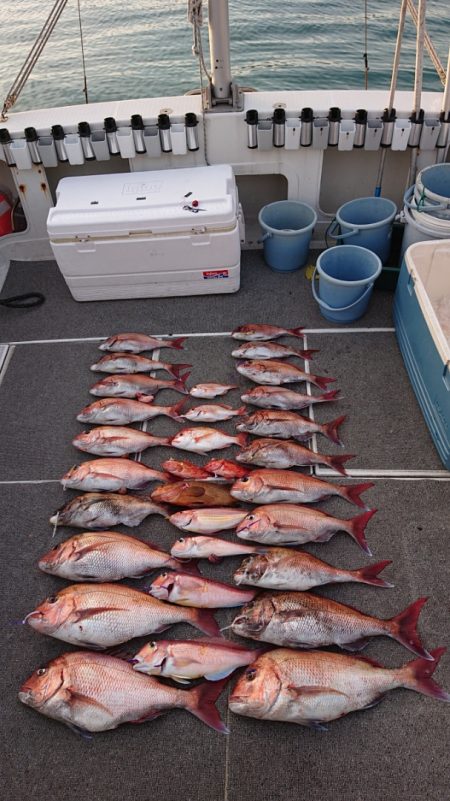 ARCADIAⅡ （アルカディアⅡ） 釣果