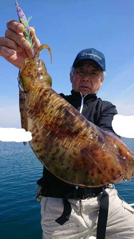 きずなまりん 釣果