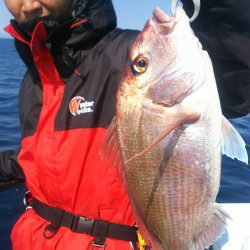 ブルドック 釣果