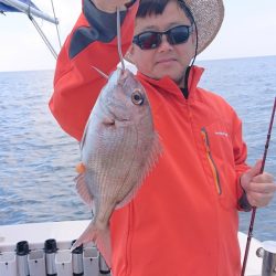 ARCADIAⅡ (アルカディアⅡ) 釣果