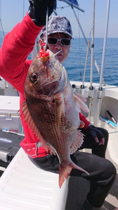 ARCADIAⅡ (アルカディアⅡ) 釣果