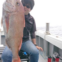 だて丸 釣果