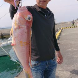 だて丸 釣果