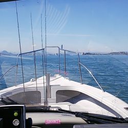 タイラバ遊漁船 ワンピース 釣果