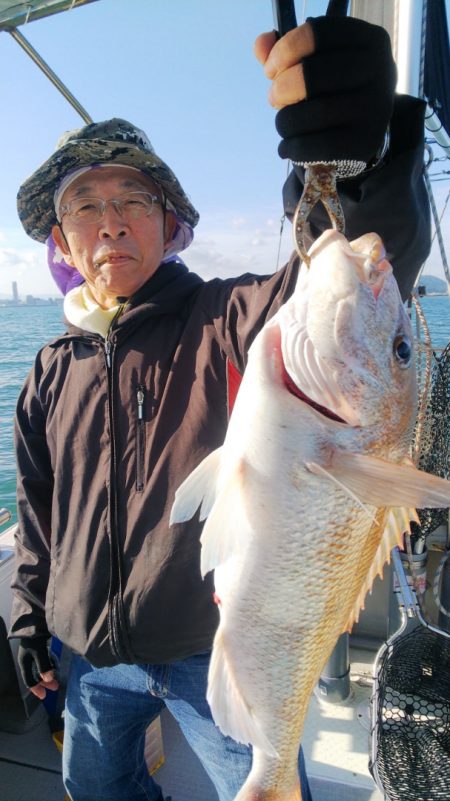 タイラバ遊漁船 ワンピース 釣果