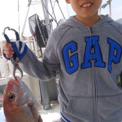 タイラバ遊漁船 ワンピース 釣果