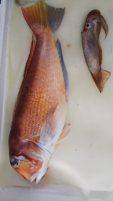 第二龍勢丸 釣果