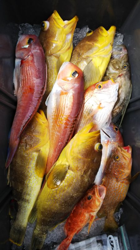 第二龍勢丸 釣果