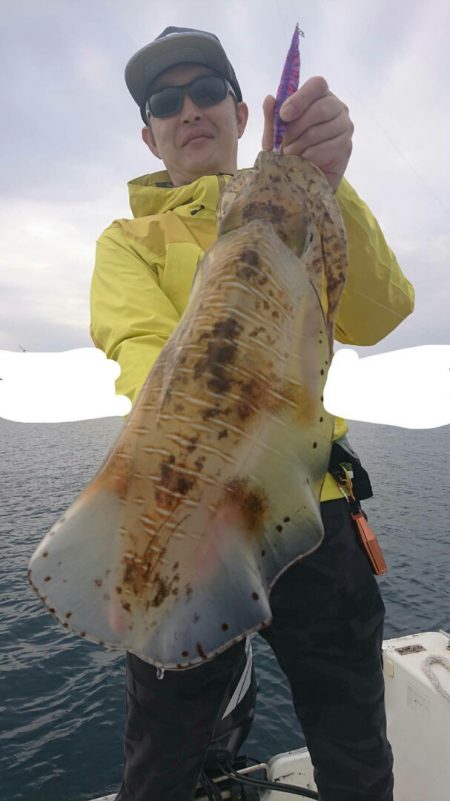 きずなまりん 釣果