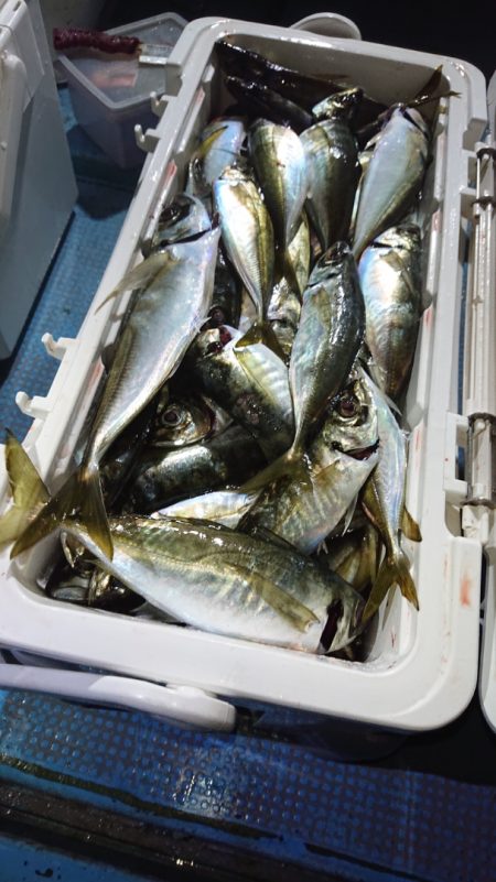 シースナイパー海龍 釣果