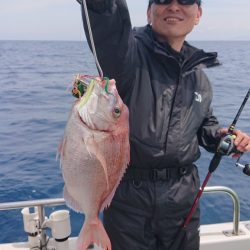 ARCADIAⅡ (アルカディアⅡ) 釣果