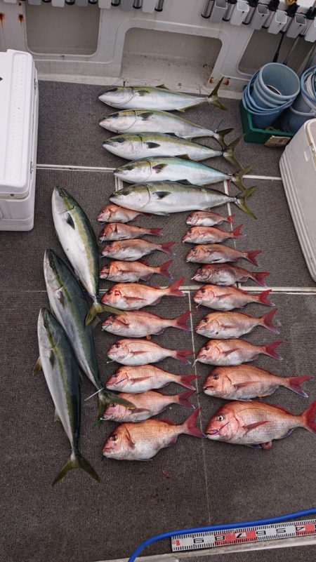 ARCADIAⅡ (アルカディアⅡ) 釣果