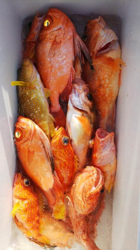 第二龍勢丸 釣果