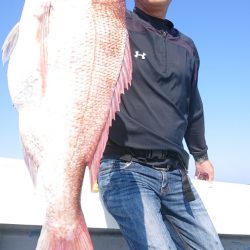 だて丸 釣果