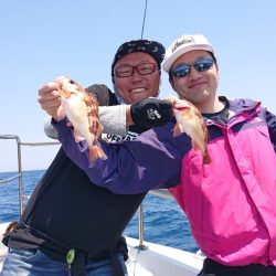 ARCADIAⅡ (アルカディアⅡ) 釣果