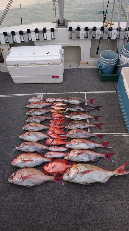 ARCADIAⅡ (アルカディアⅡ) 釣果