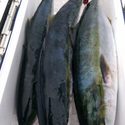 LUSTER『ラスター』 釣果