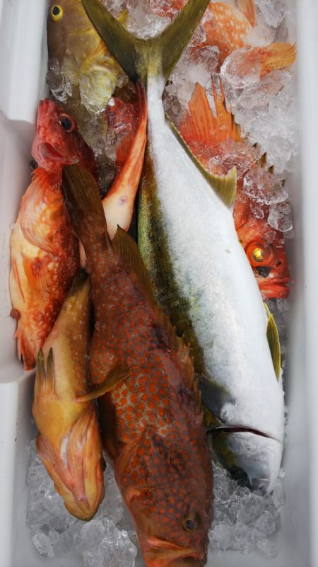 第二龍勢丸 釣果