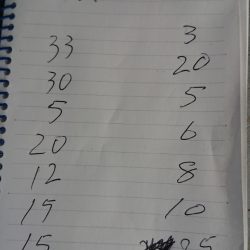 金沢八景鴨下丸 釣果