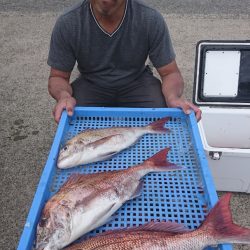 第三共栄丸 釣果