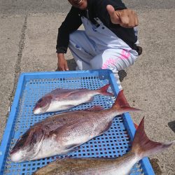 第三共栄丸 釣果