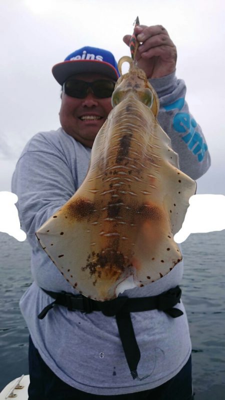 きずなまりん 釣果