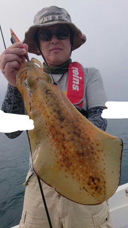 きずなまりん 釣果