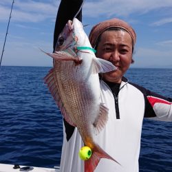 ARCADIAⅡ (アルカディアⅡ) 釣果