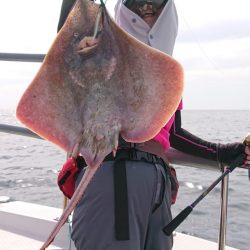 ARCADIAⅡ (アルカディアⅡ) 釣果